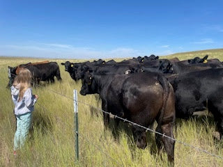 New Bundle, Last Calf, and One Last Week for Free Freezers