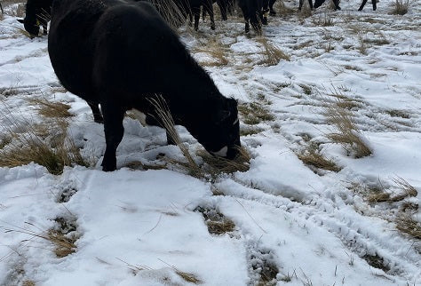 The Weather Rule About Easter