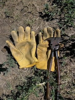 What McDonald’s Got Wrong About Ranching