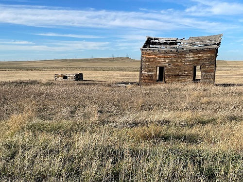 If These Old Walls Could Talk