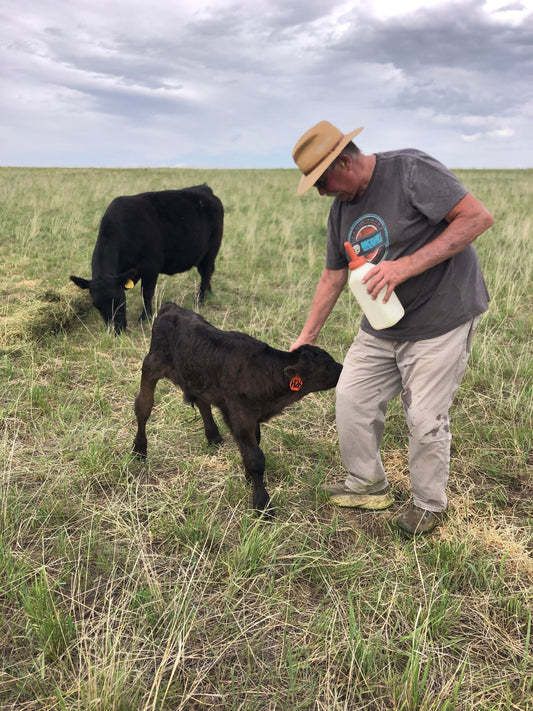 This Calf Needed a Name . . . and a Rope