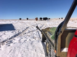 Favorite Phone Call to Make – T Bar J Ranch