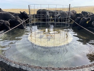 Trail Boss Beef Shares  DEPOSIT– Private Link T Bar J Ranch